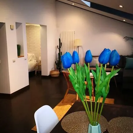 Modern Top Floor Loft At Malasana'S Heart Madrid Exterior photo